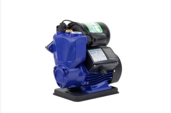 Werto série PS appareil ménager monophasé onduleur électrique automatique pompe à eau périphérique