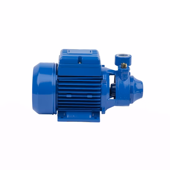 Pompe à eau périphérique Qb60 0,5HP