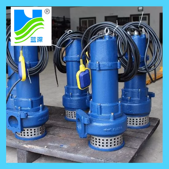 Pompe centrifuge submersible pour eaux usées (CP WQR), 0,75