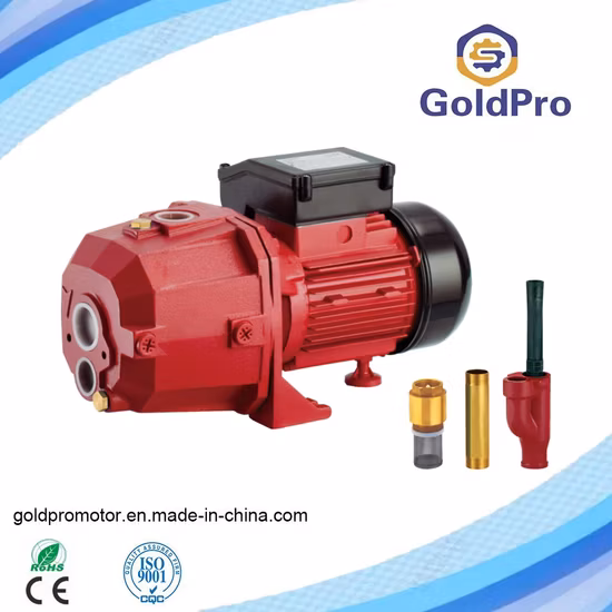 Pompe à eau à jet haute pression industrielle 1HP 60L/Min, pompe auto-amorçante